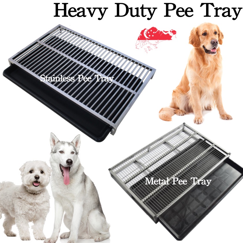 Where to Buy Dog Toilet Tray in Singapore