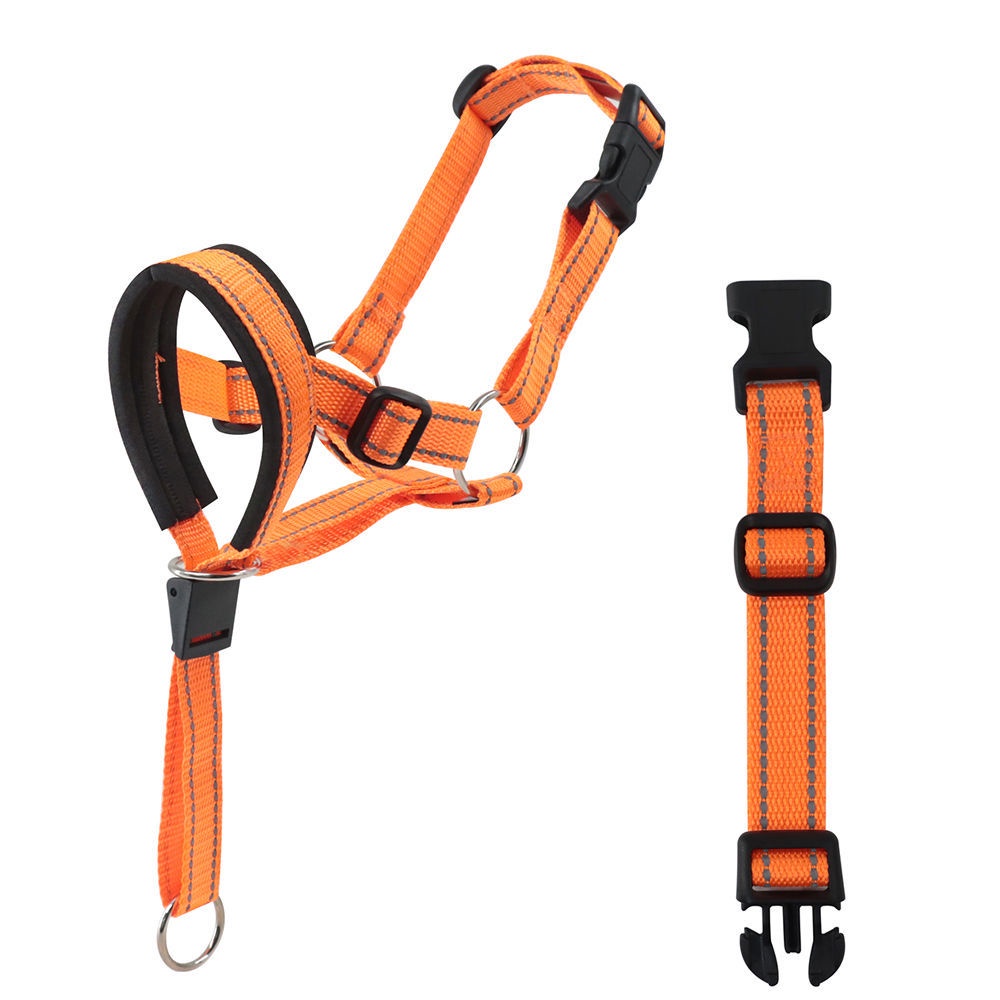 Kit harness muzzle for medium and large dogs Adjustable Red Resistant Explosion Proof Dogs Leash pet Tow rope Mouth Muzzle Shopee Singapore