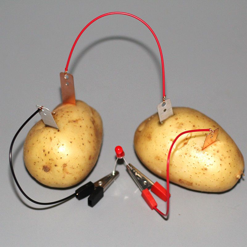 Potato Battery Power Generation Introduction Scientific Simple