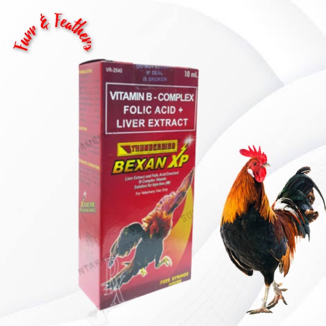 Thunderbird Bexan XP (10 ml - 20 ml) (F*F) | Shopee Singapore