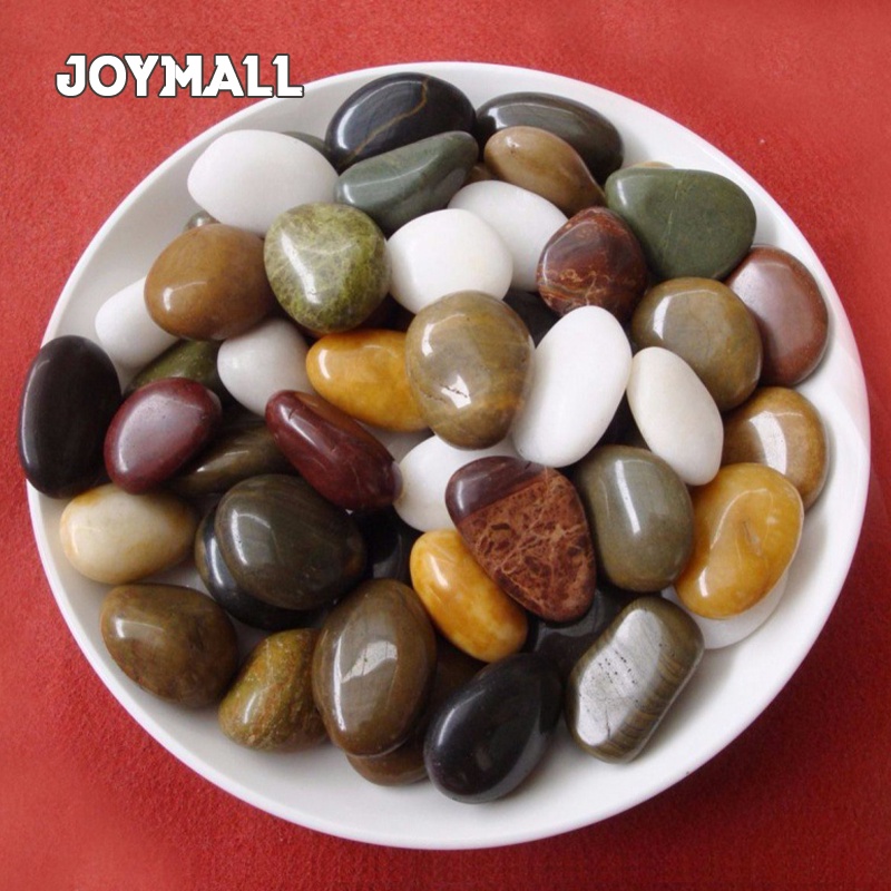 Buy pebbles Products At Sale Prices Online - August 2026 | Shopee Singapore