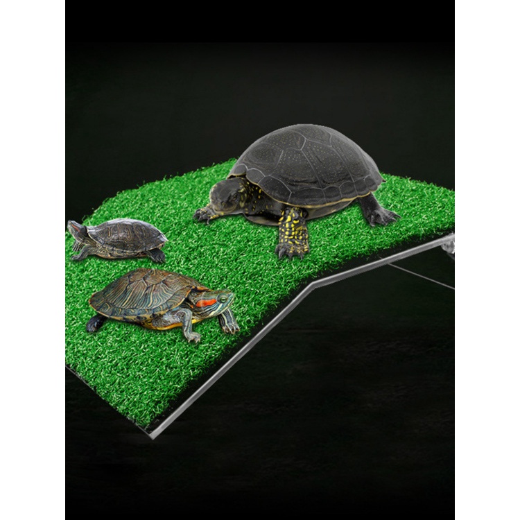 Reptile Lawn Slope Turtle Basking Platform Turtle Resting Basking ...