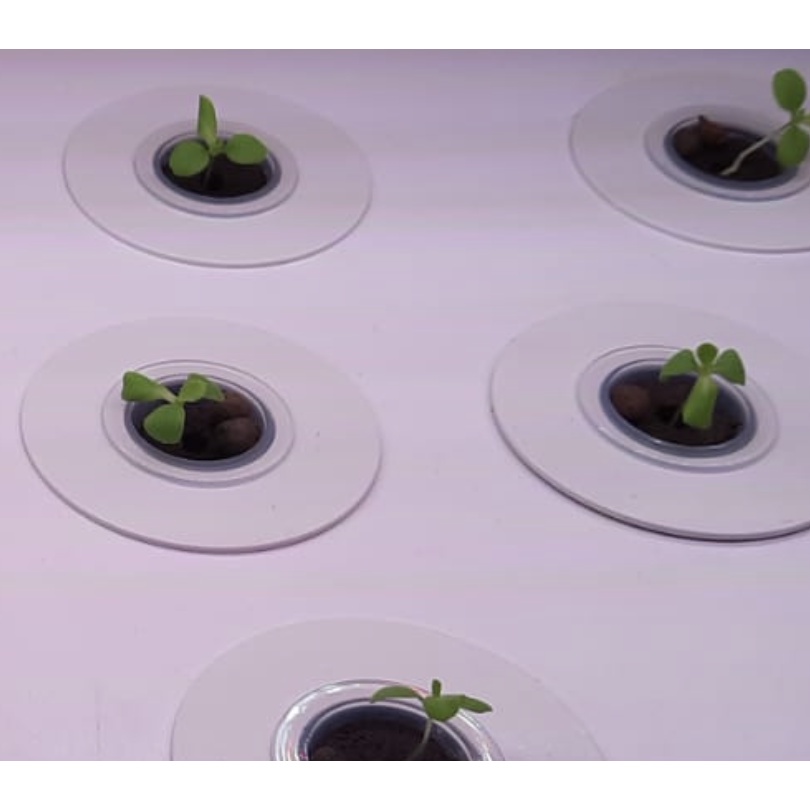 Sprout lab | BioChar Seed Pods | Seed Starter for Hydroponics | Pumps ...