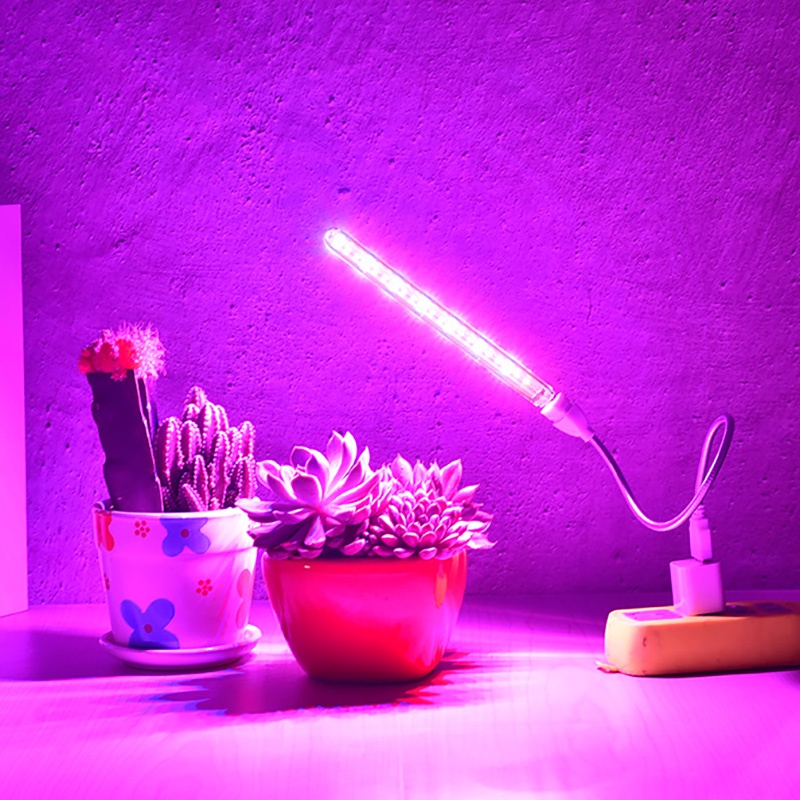 USB 5V Led Low Voltage Strip Shape Light Lamp for Succulent Aquatic ...