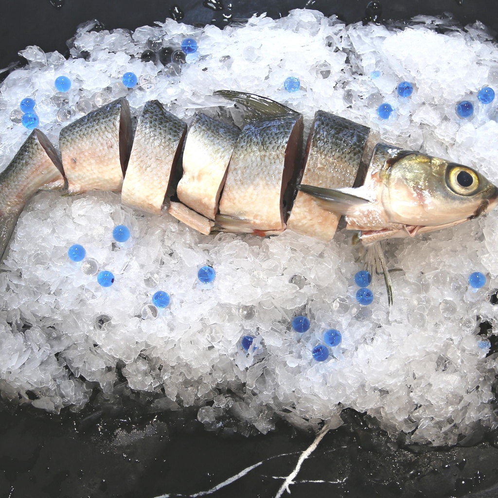Fresh Milk Fish (Chopped) [400g] | Shopee Singapore