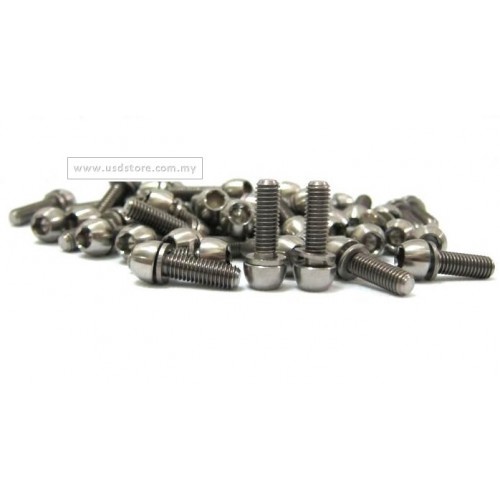M6 x 18mm Bullet Head Allen Hex Ti Screw Bolt with Washer | Shopee ...