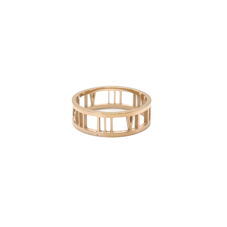 Roman Titanium Ring -Premium Japan Imported Titanium with 18K Gold plated
