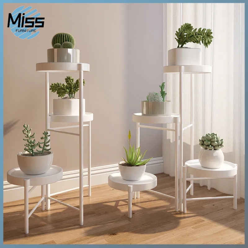 multi-layer special clearance succulent flower raising indoor household ...