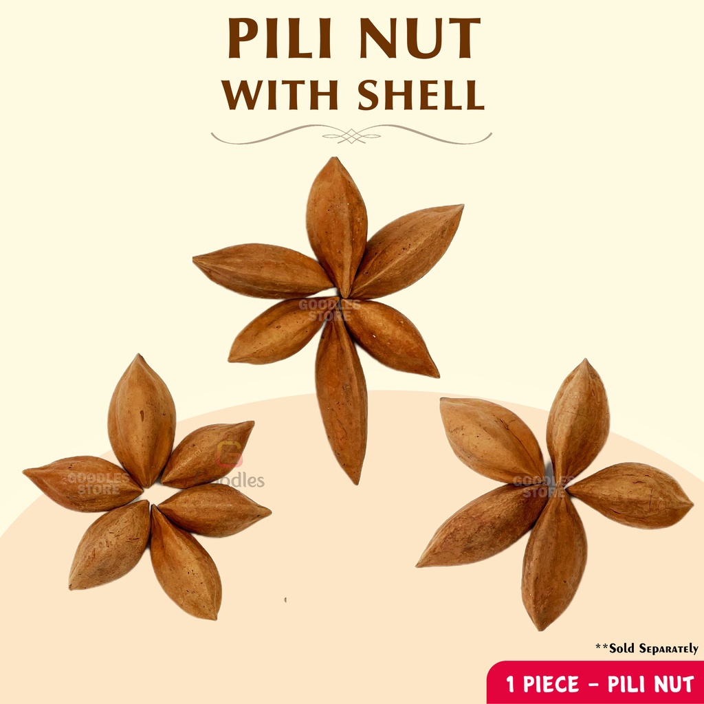 Sold Per PC Raw Pili Nuts with Shell Good Quality Bicol Pilinuts with