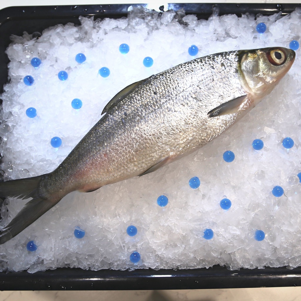 Fresh Milk Fish [400g] | Shopee Singapore