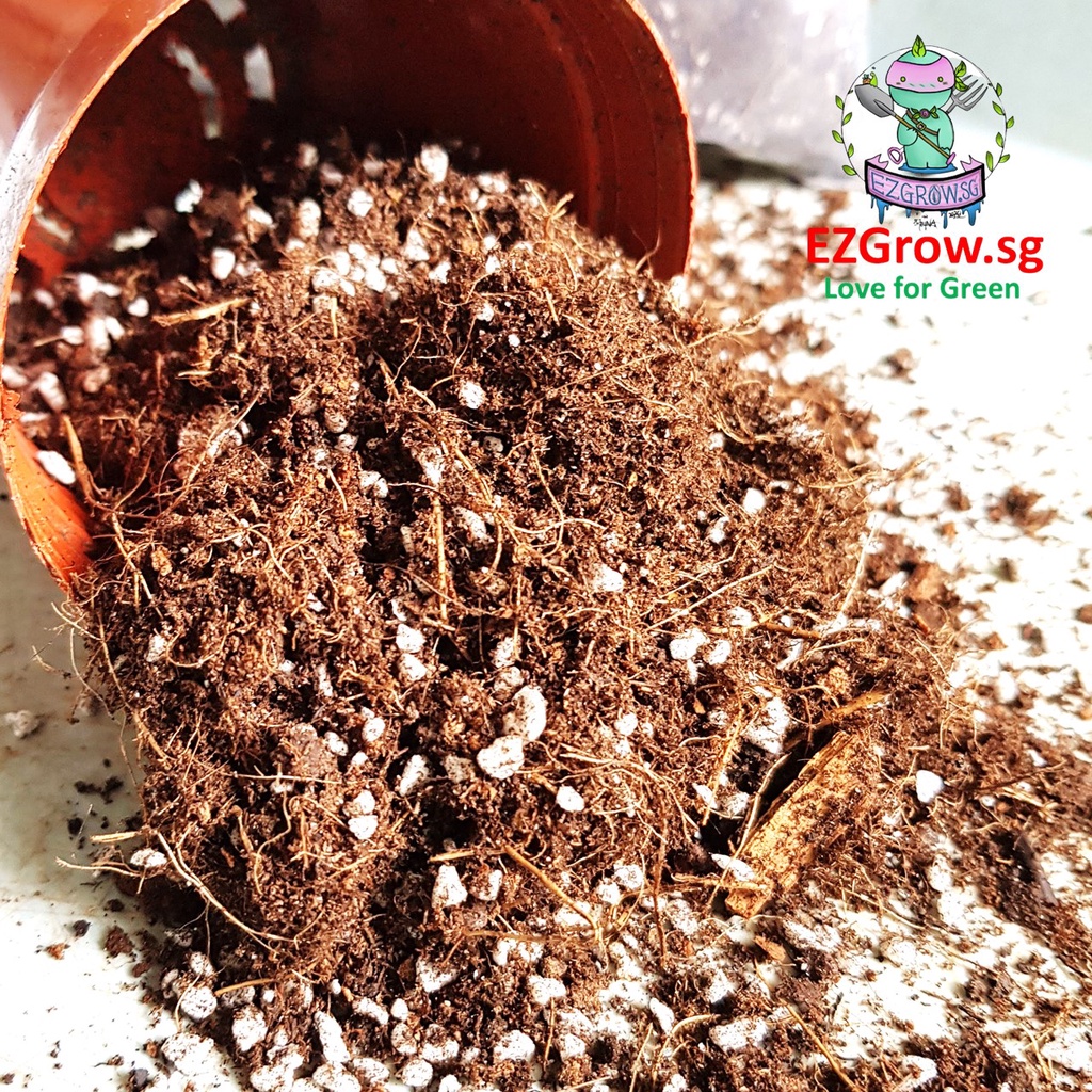 Succulent Potting Soil Mix Cactus Soil Mix Cacti Soil (fr SG