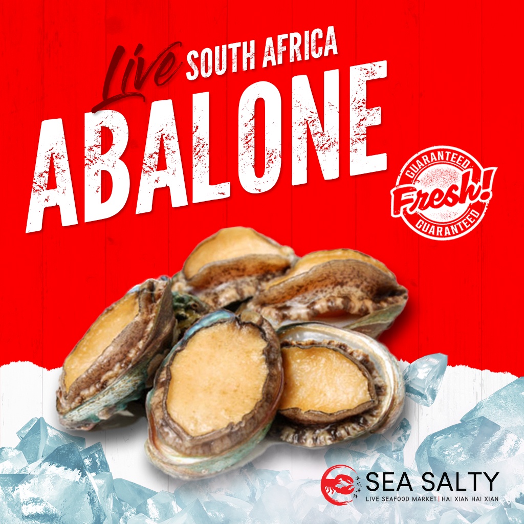 South Africa Abalone | Shopee Singapore