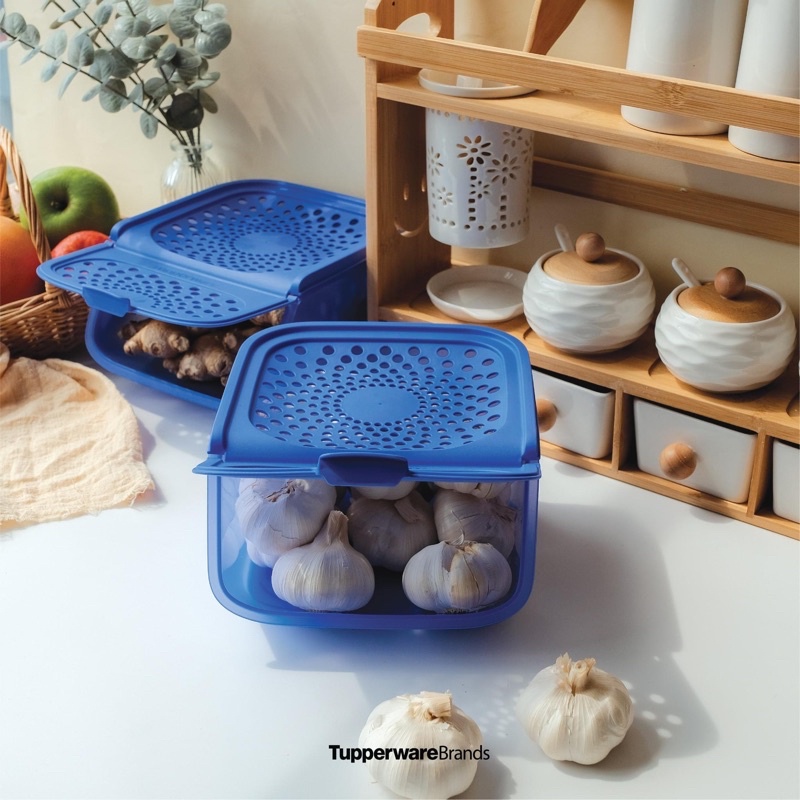 Tupperware Garlic Keeper (2.3L) Shopee Singapore