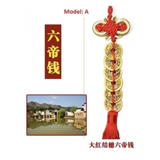  8 Pieces Chinese New Year Lucky Coins Charms Chinese Feng Shui  Coins 2024 Dragon New Year Fortune Coins I-Ching Coins with Tassel Red  Chinese Knot for Wealth Success Good Luck Hanging