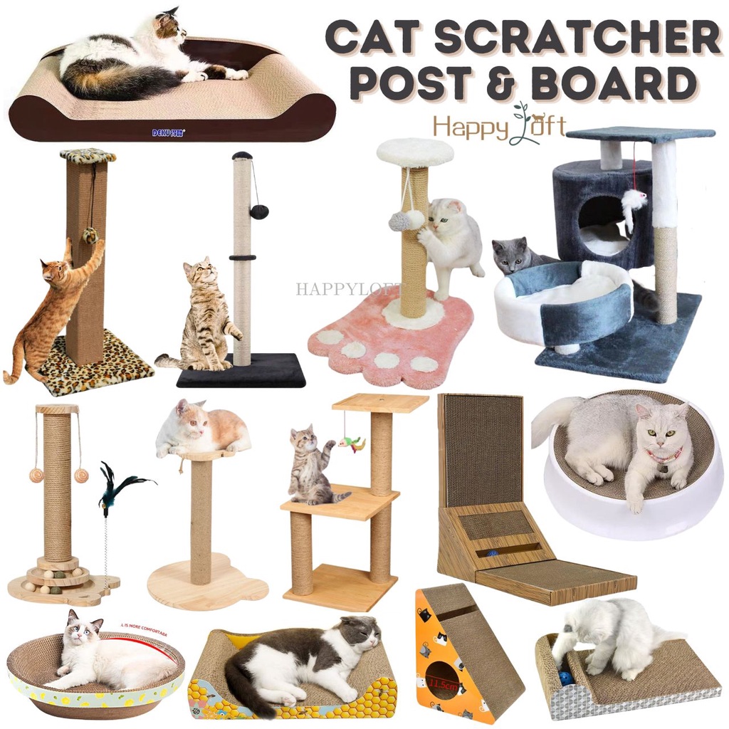 Cat 2025 scratcher shopee