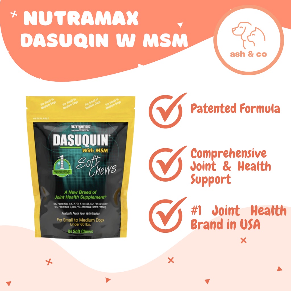 Dasuquin with msm soft chews for large dogs best sale