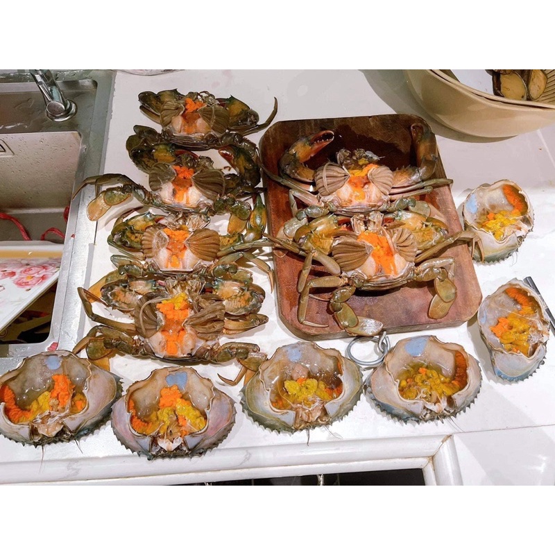 Alive Female Mud Crab got Red Roe $12/crab .Refund money if crab don’t ...
