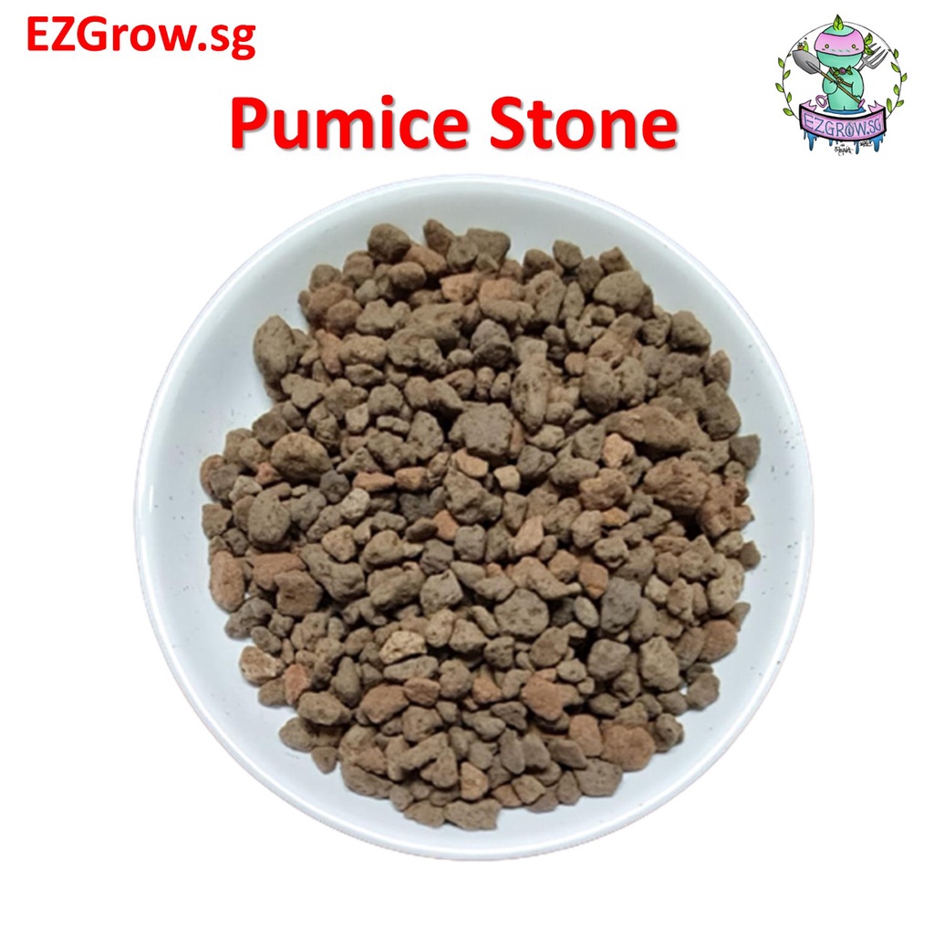 Pumice Stone Singapore Gardening Fasci Garden