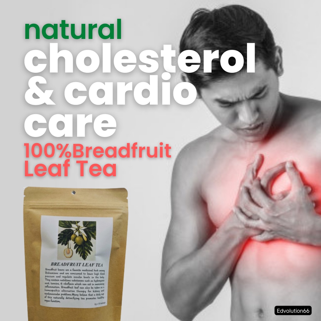 Breadfruit Leaf Tea Natural Cholesterol & Cardio Care 2 x 30 Teabags
