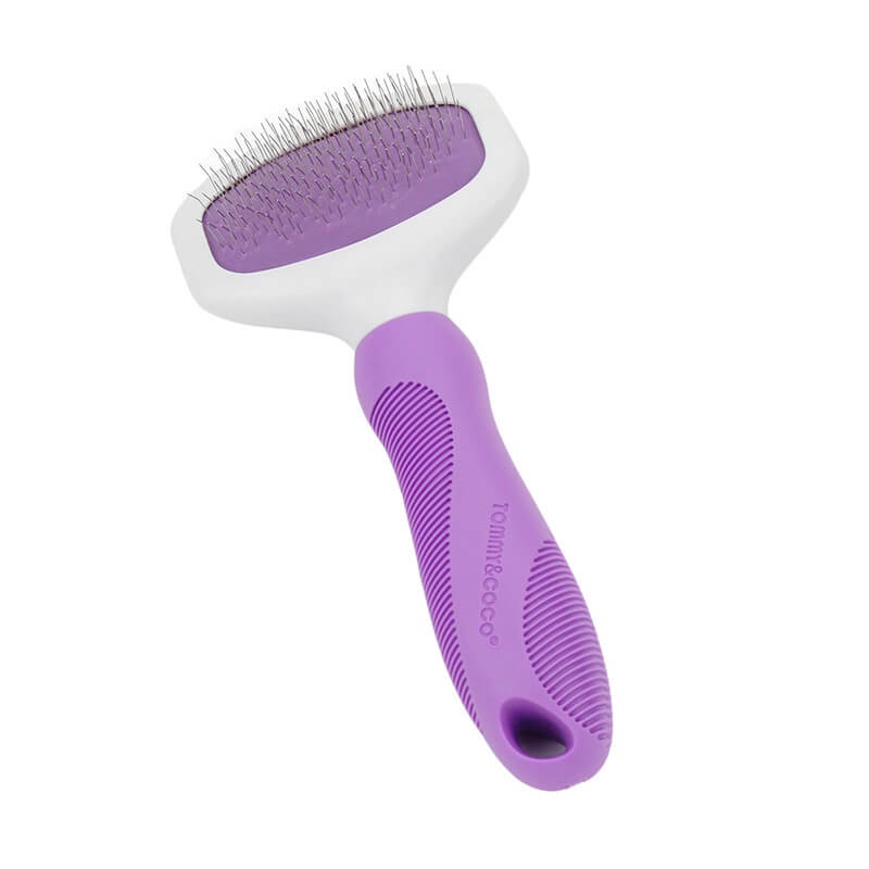 TOMMY&COCO Slicker Brush (Small- Purple) | Shopee Singapore