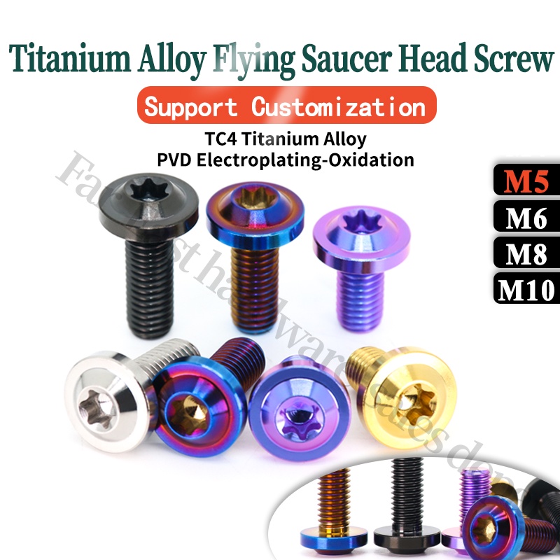 TC4 Titanium Alloy Flying Saucer Head Screw Torx Screws Disc Head