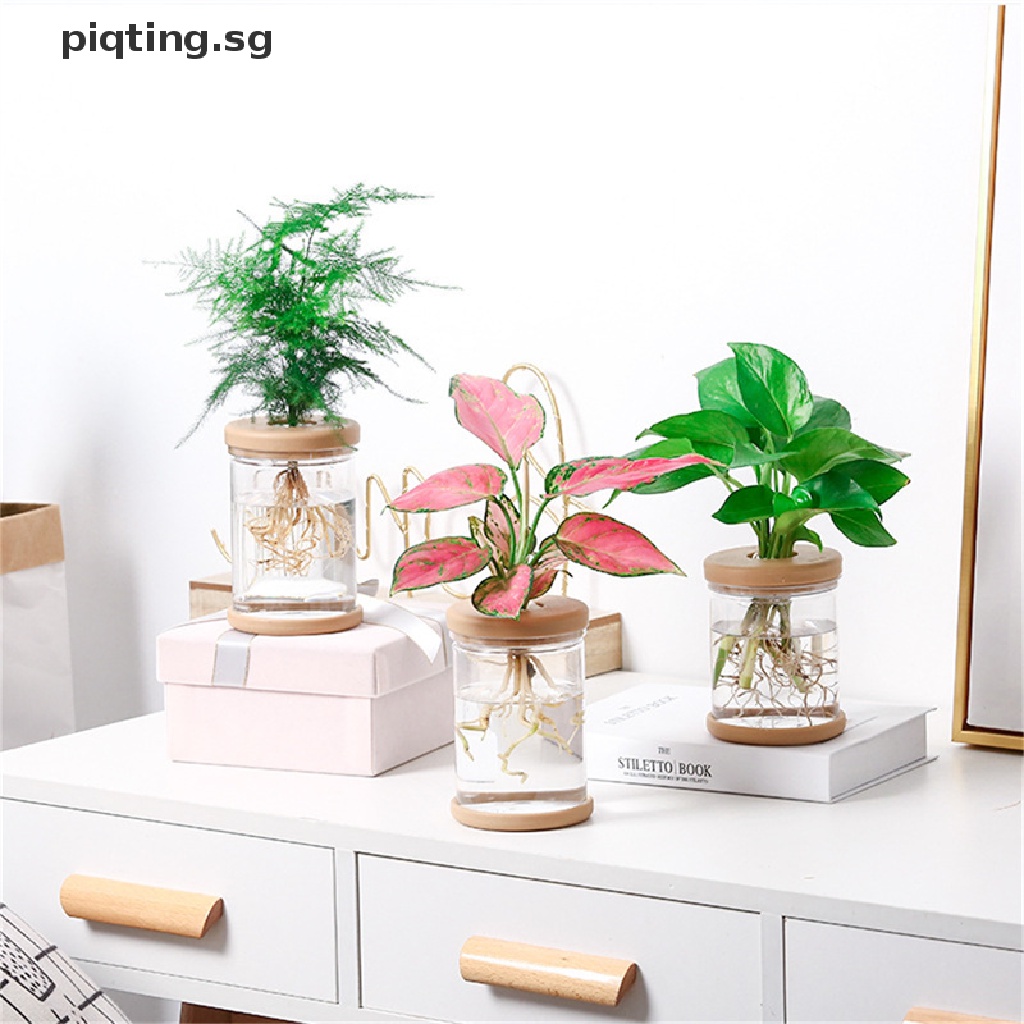 PP Pots for Pot Imitation Glass Vase Plang Small Potted Green Plant
