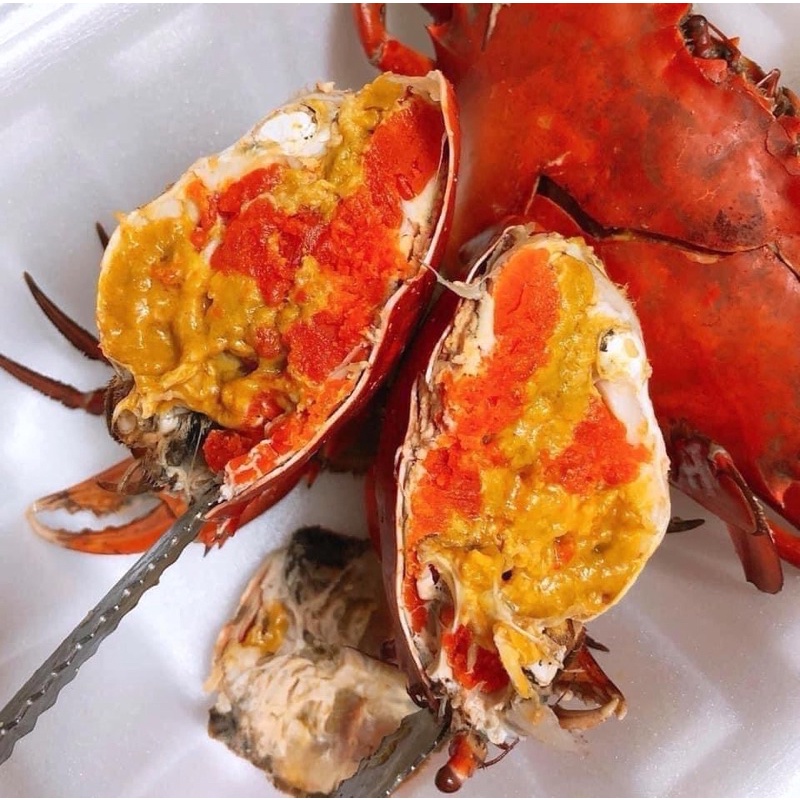 Alive Female Mud Crab got Red Roe $12/crab .Refund money if crab don’t ...