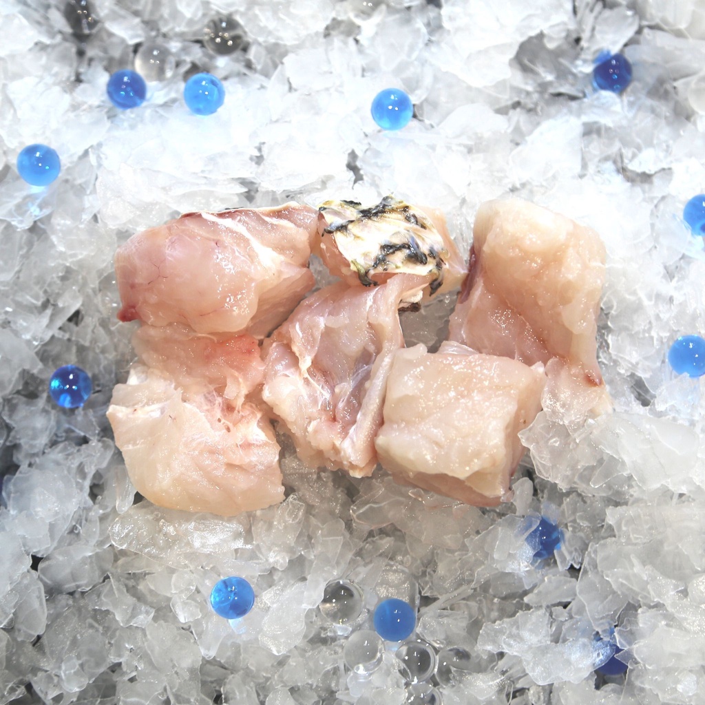 Fresh Red Snapper Fillet Cube [150g] | Shopee Singapore