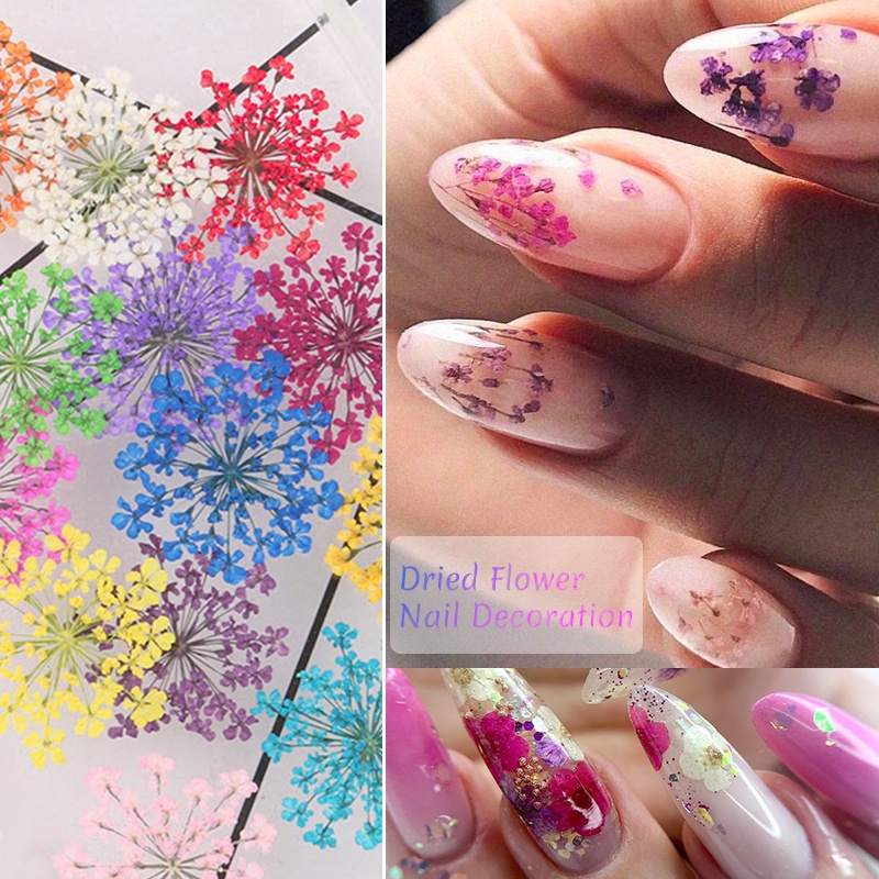 Dried Flower Box Dried Flowers Nail Art 