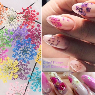 Dried Flowers For Nail Art, 3d Dry Flowers Nail Stickers Colorful Natural  Real Flower Nail Decals (1pcs,multicolor