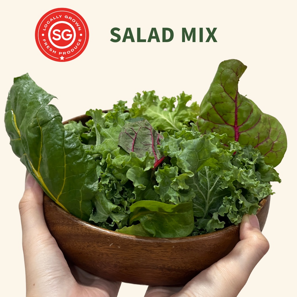 [Farm Fresh] Farmer's Choice Salad Mix (Pesticide & GMO Free) | Shopee ...