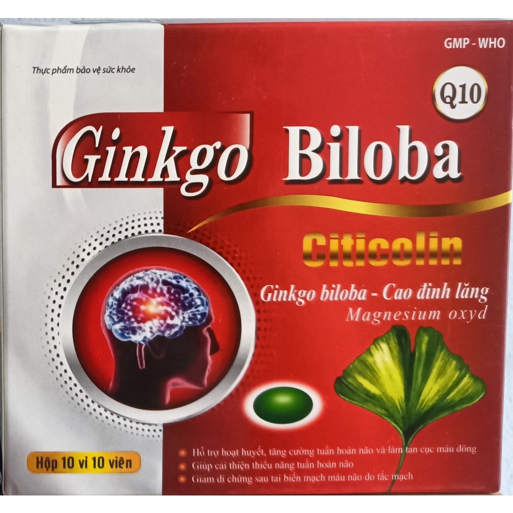 Ginkgo biloba Citicolin Coenzym Q10 Brain Supplement Helps Blood