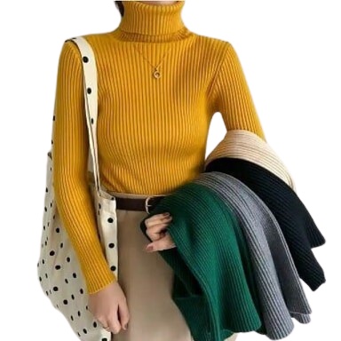 [Sale] - Daisy Turtleneck Clothing Women's Tops Spandek Knitwear