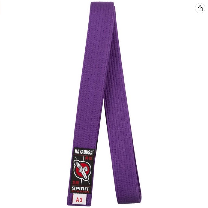 Hayabusa Jiu Jitsu Belt Purple HJJBPA Shopee Singapore