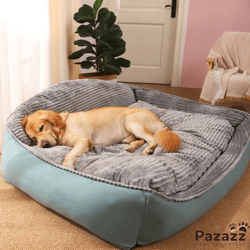 Dog 2024 bed shopee