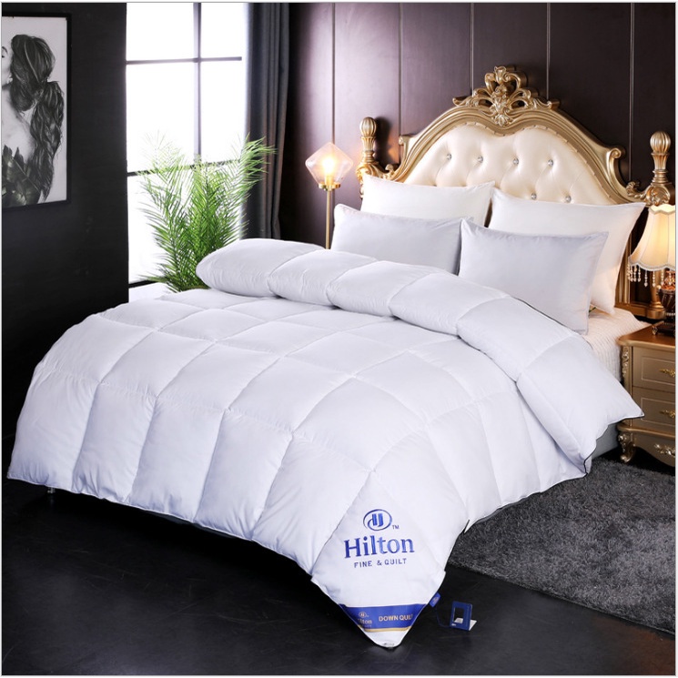 [ SG Ready Stock] Duvet Insert Comforter Hotel Grade Blanket Soft Warm