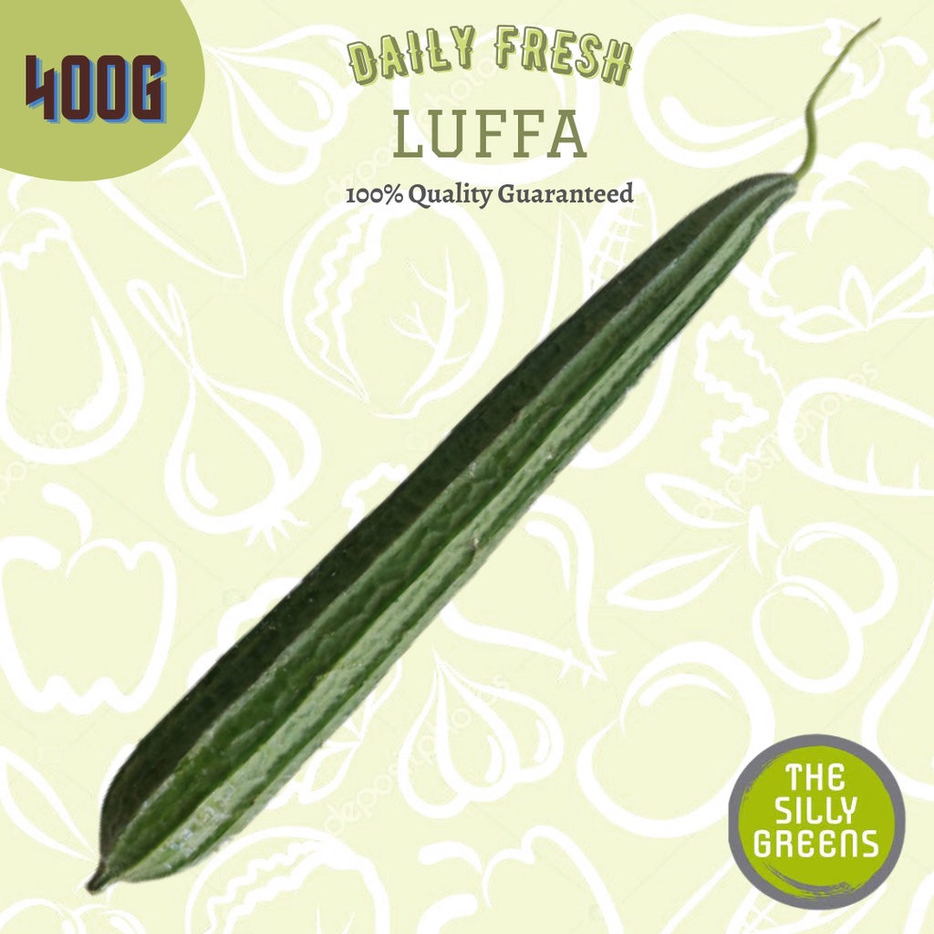 [TheSillyGreens] Luffa | 400g (1 pcs) | Shopee Singapore