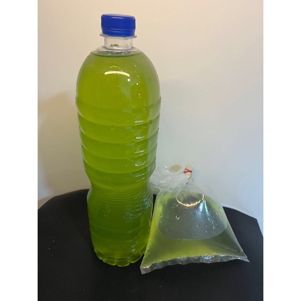 [Local SG] Algae Green Water Daphnia Magna Spirulina Powder for brine