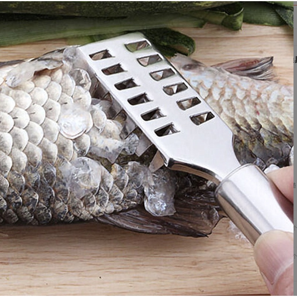 Pembersih Sisik Ikan Stainless / Serutan Sisik Ikan Stainless