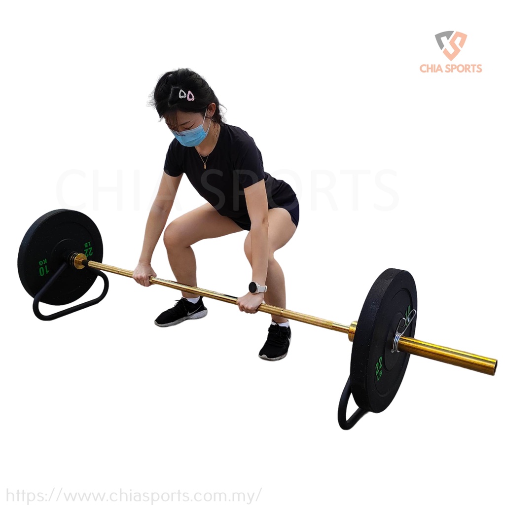 OLYMPIC BAR STAND (PAIR) DEADLIFT BARBELL JACK Landmine T Bar Row