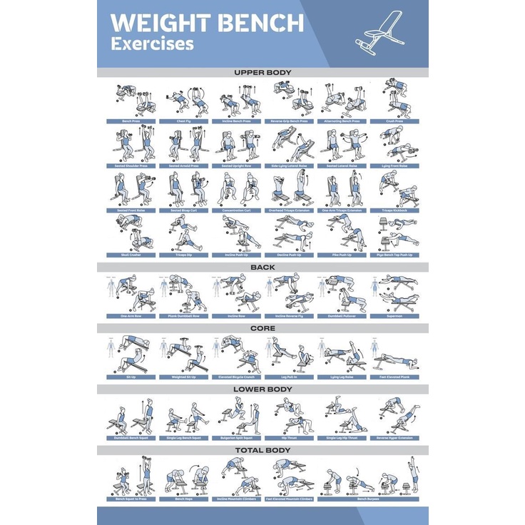 Weight Bench Exercise Posters for Home Gym Exercise Posters for Full