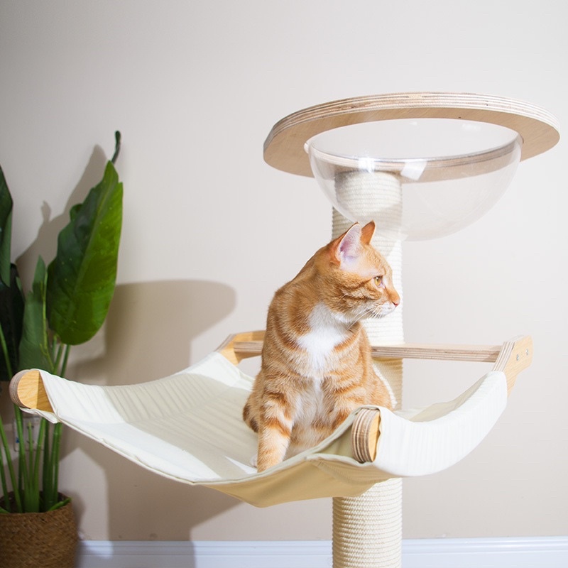 Cat scratcher outlet shopee