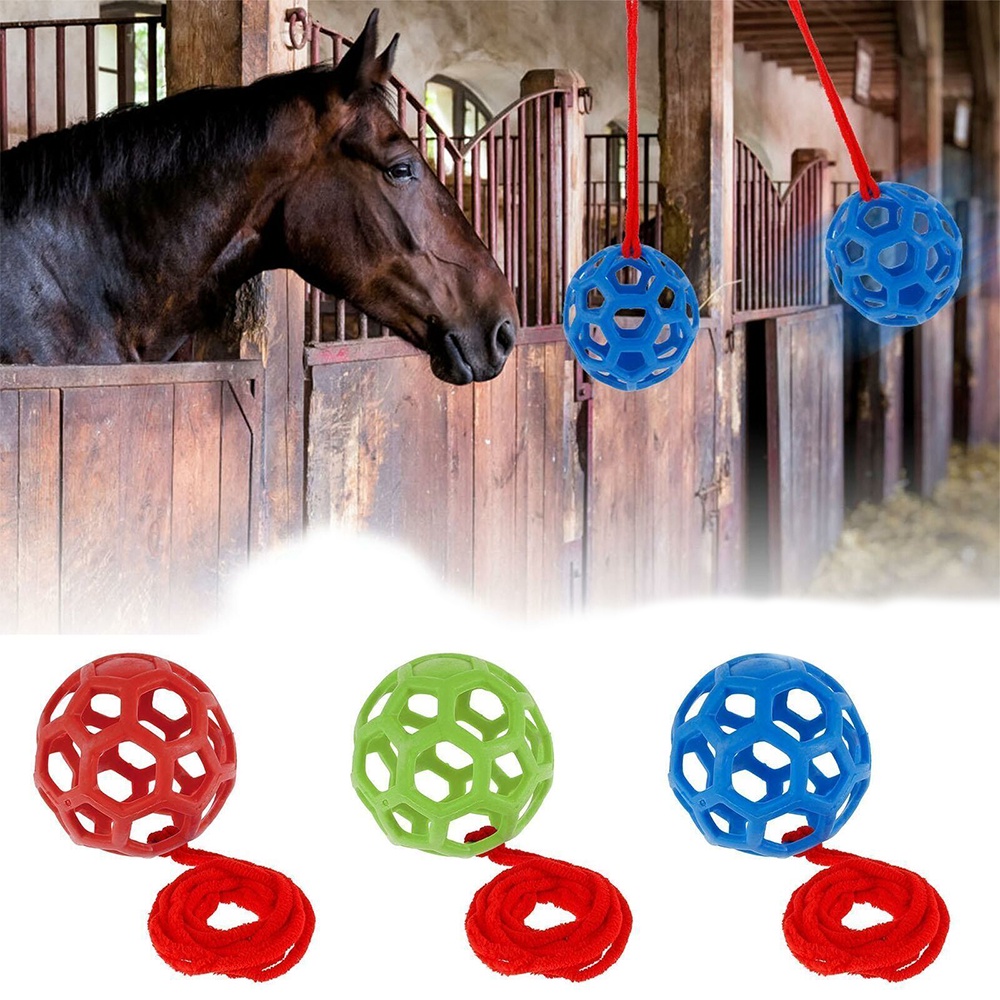 Equine Horse and Pony Treat Ball Goat Hay Hanging Feeding Toy Sheep ...