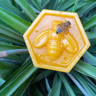 HUNNYBEE Beeswax Pellets 1LB, 100% Organic Yellow Bees Wax for DIY