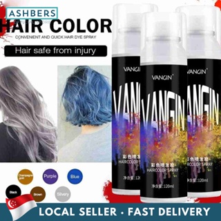 Hair Color Wax Mild Non-Irritating Temporary Hair Dye Cream Hair Color  Cream for Salon Barbers for Hairdressers(Blue)