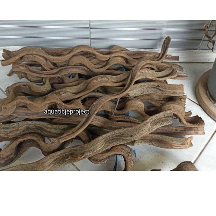 KAYU Trinil Wood/TRINIL Root/AQUASCAPE Sky Root HARDSCAPE AQUARIUM ...