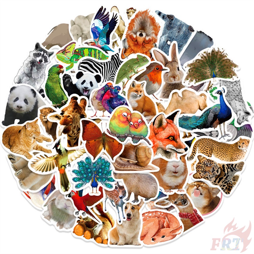 50Pcs/Set Animal Pictures Series 01 Stickers Waterproof DIY Fashion ...
