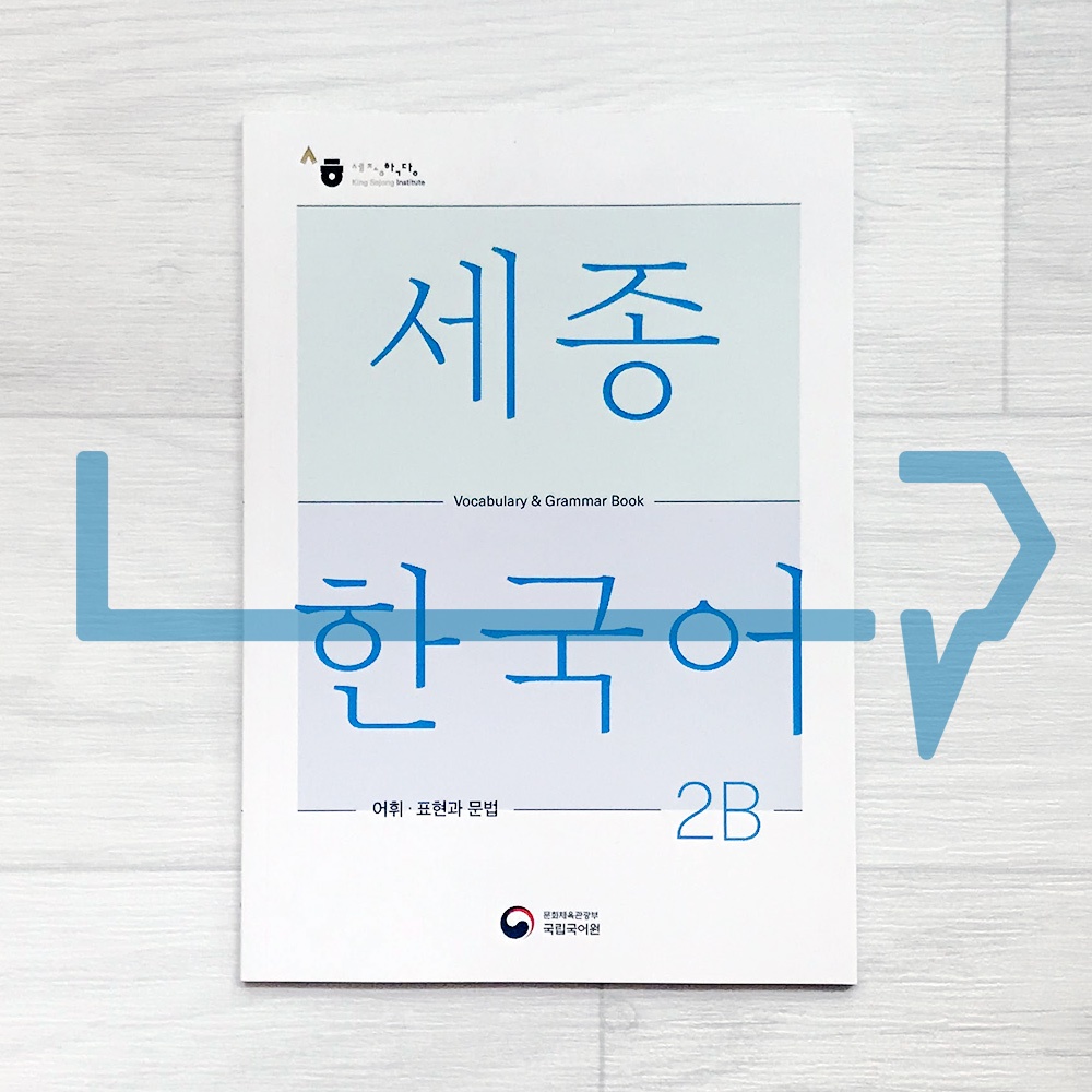 Sejong Korean Vocabulary & Grammar Book 세종한국어 어휘 표현과 문법 2B (2022 ...