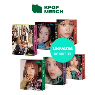Newjeans NJZ SHOPEE kpopmerch 100枚 Newjeans NJZ SHOPEE kpopmerch 100枚