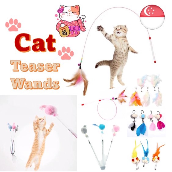 [3 FOR 4.99] Cat Toys Teaser Wands Bounce Feather Toy Entertain Cat